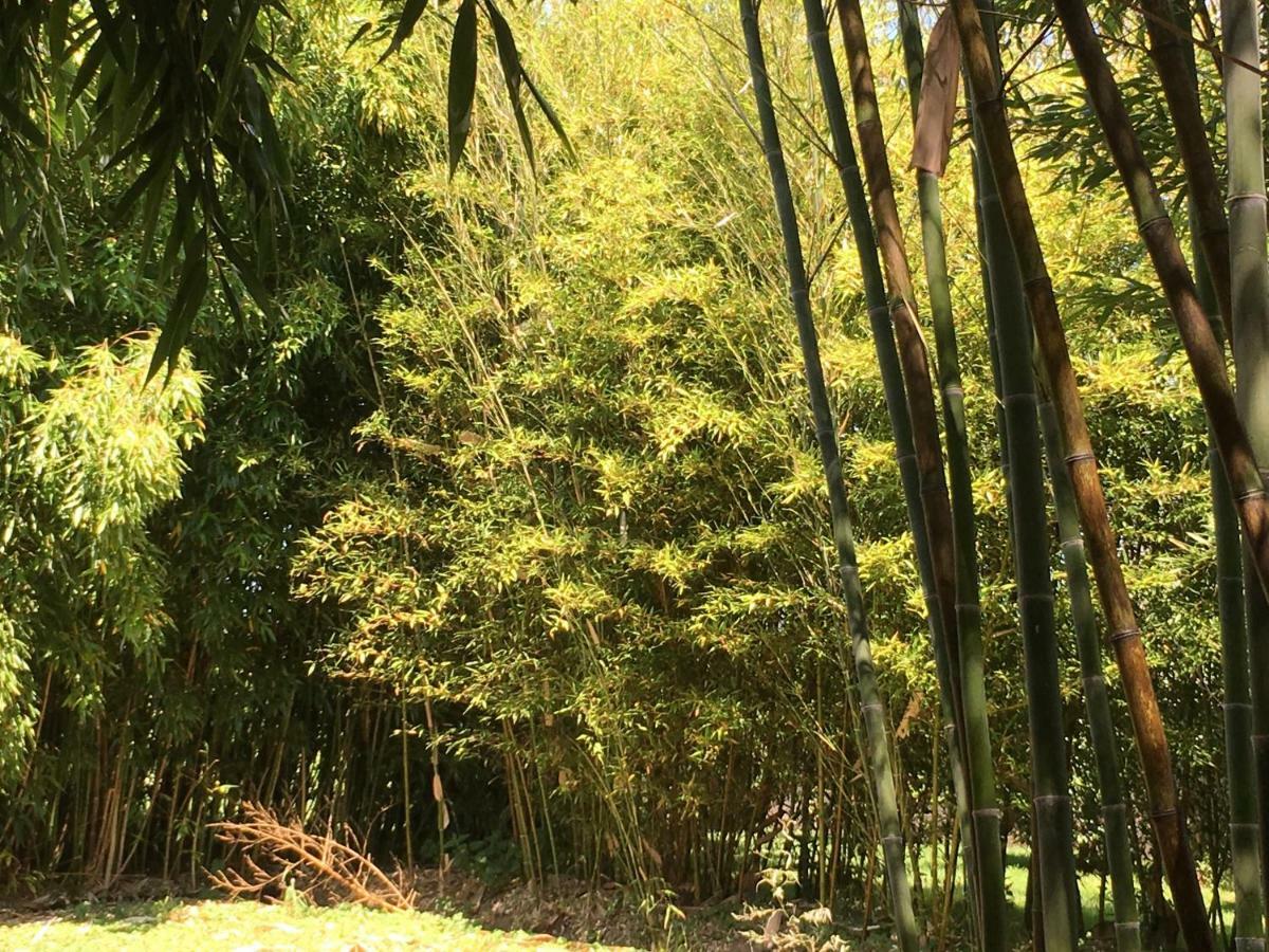 Le Domaine De Saint-Thomin Bed & Breakfast Nostang Ngoại thất bức ảnh
